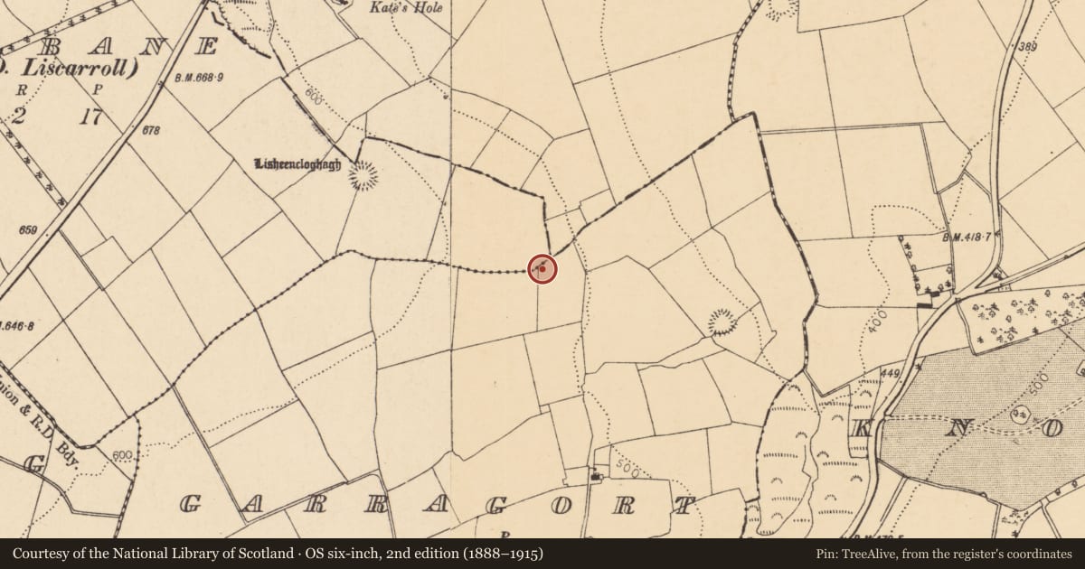 Ordnance Survey six-inch map, 2nd edition (1888–1915) covering the location of Fulacht fia, Garragort, County Cork, with a pin at the register's coordinates