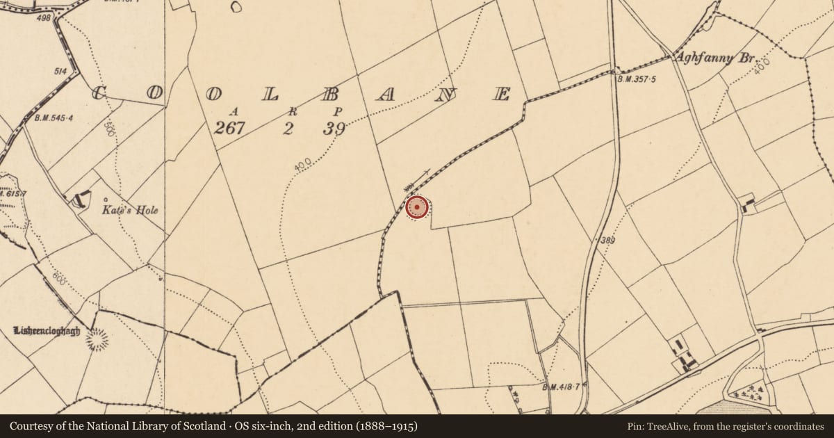 Ordnance Survey six-inch map, 2nd edition (1888–1915) covering the location of Ringfort - rath, Knockbarry (Orrery and Kilmore By., Liscarroll Par.), County Cork, with a pin at the register's coordinates