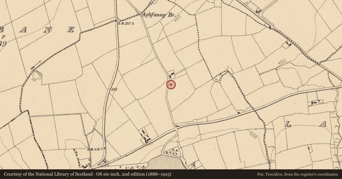Ordnance Survey six-inch map, 2nd edition (1888–1915) covering the location of Ringfort - rath, Knockbarry (Orrery and Kilmore By., Liscarroll Par.), County Cork, with a pin at the register's coordinates