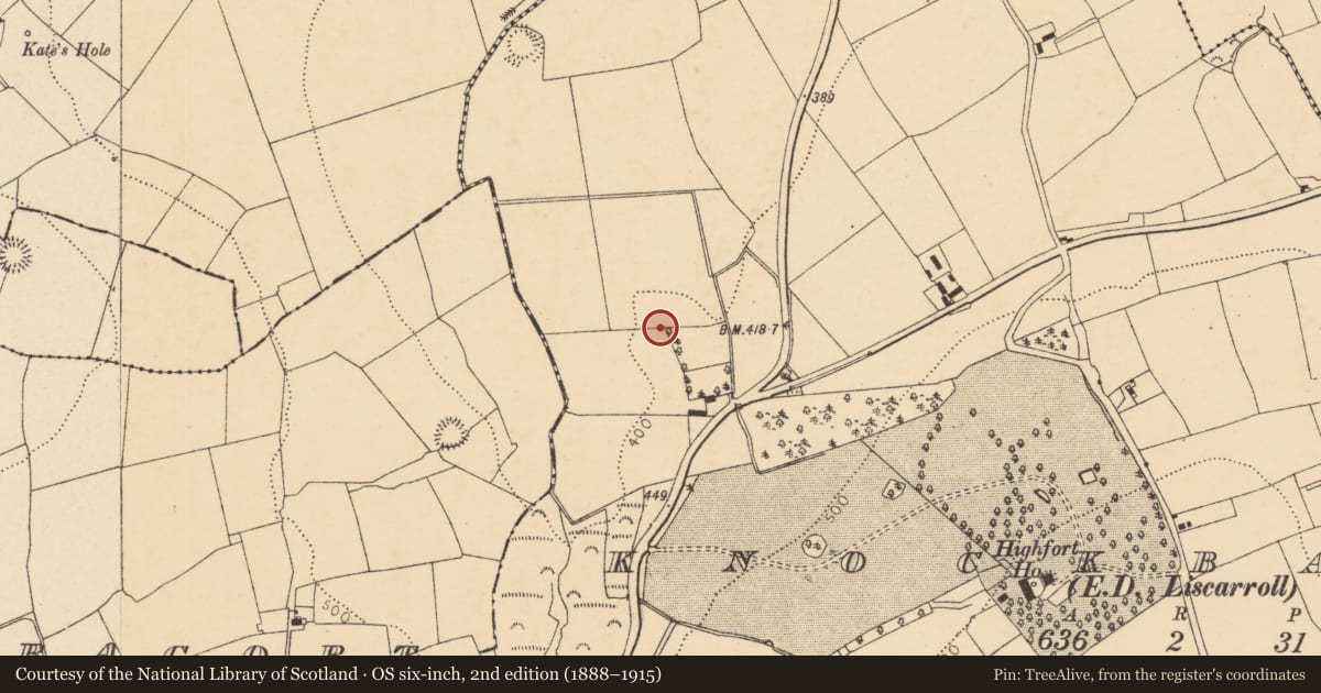 Ordnance Survey six-inch map, 2nd edition (1888–1915) covering the location of Ringfort - rath, Knockbarry (Orrery and Kilmore By., Liscarroll Par.), County Cork, with a pin at the register's coordinates