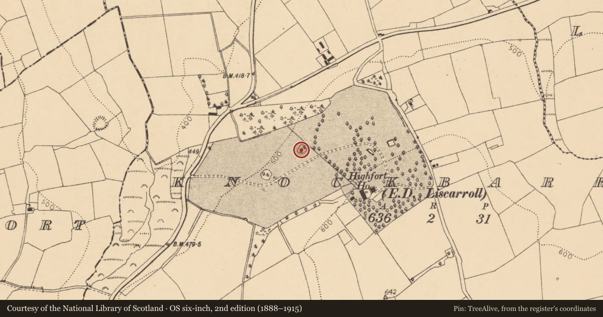 Ordnance Survey six-inch map, 2nd edition (1888–1915) covering the location of Designed landscape - tree-ring, Knockbarry (Orrery and Kilmore By., Liscarroll Par.), County Cork, with a pin at the register's coordinates