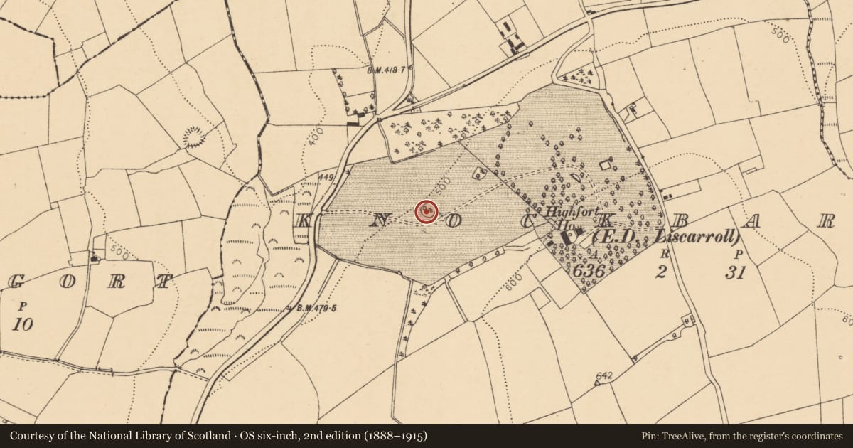 Ordnance Survey six-inch map, 2nd edition (1888–1915) covering the location of Designed landscape - tree-ring, Knockbarry (Orrery and Kilmore By., Liscarroll Par.), County Cork, with a pin at the register's coordinates