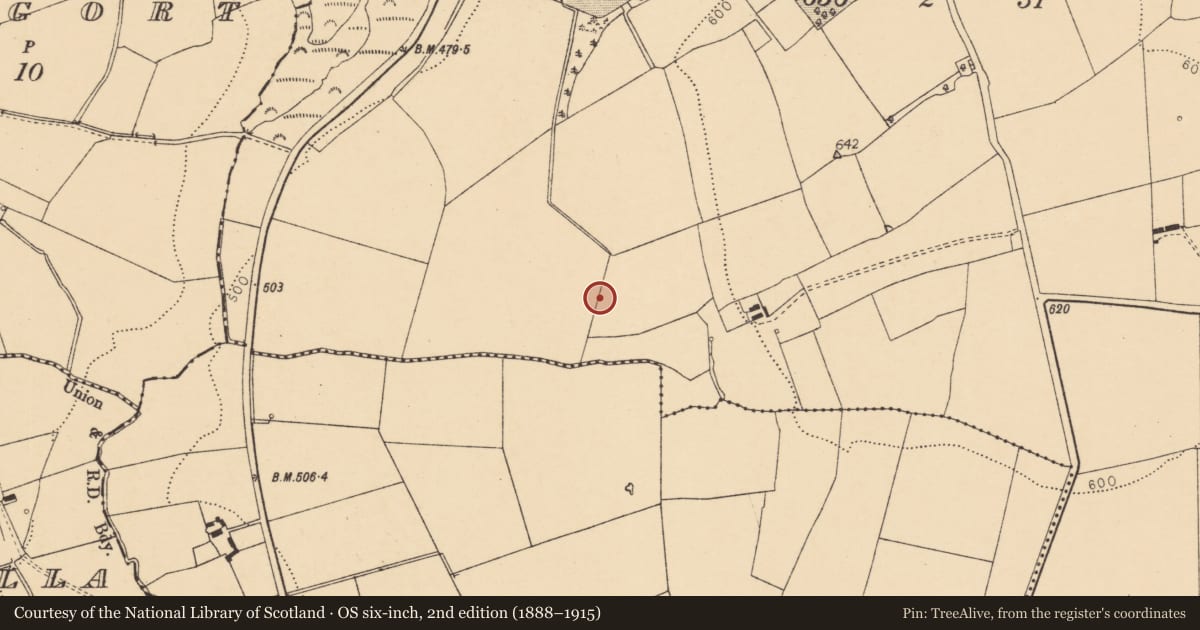Ordnance Survey six-inch map, 2nd edition (1888–1915) covering the location of Fulacht fia, Knockbarry (Orrery and Kilmore By., Liscarroll Par.), County Cork, with a pin at the register's coordinates
