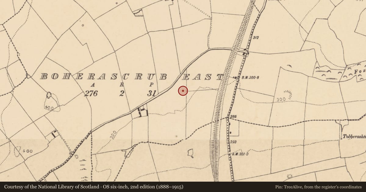 Ordnance Survey six-inch map, 2nd edition (1888–1915) covering the location of Enclosure, Boherascrub East, County Cork, with a pin at the register's coordinates