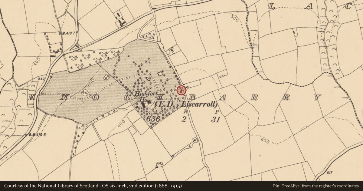 Ordnance Survey six-inch map, 2nd edition (1888–1915) covering the location of Enclosure, Knockbarry (Orrery and Kilmore By., Liscarroll Par.), County Cork, with a pin at the register's coordinates