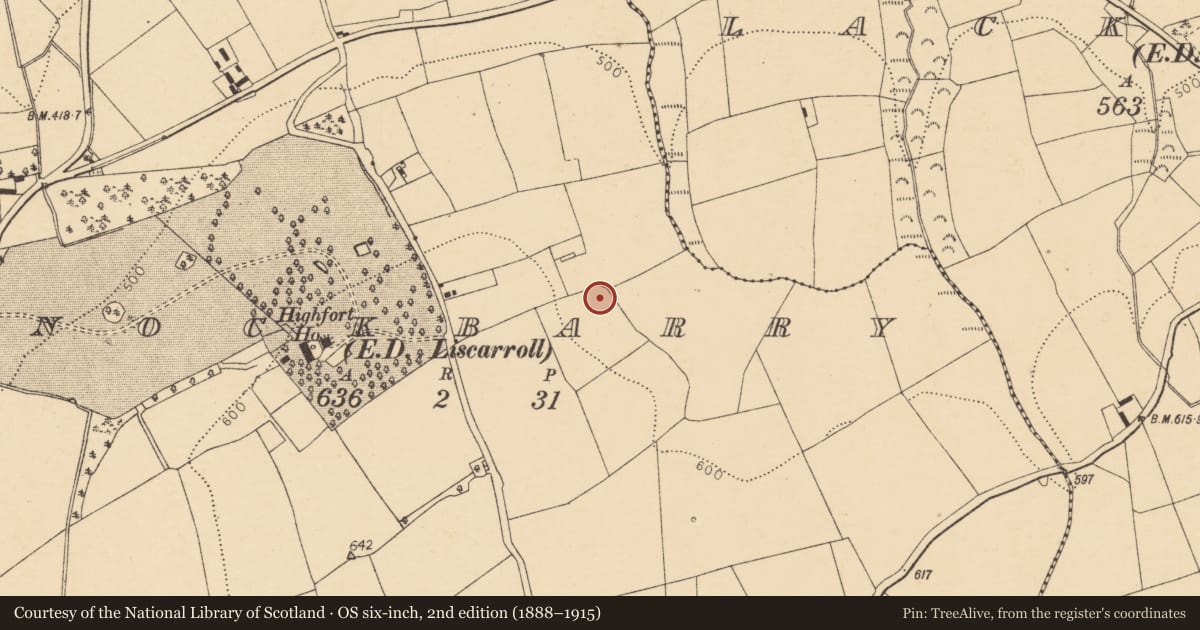 Ordnance Survey six-inch map, 2nd edition (1888–1915) covering the location of Fulacht fia, Knockbarry (Orrery and Kilmore By., Liscarroll Par.), County Cork, with a pin at the register's coordinates