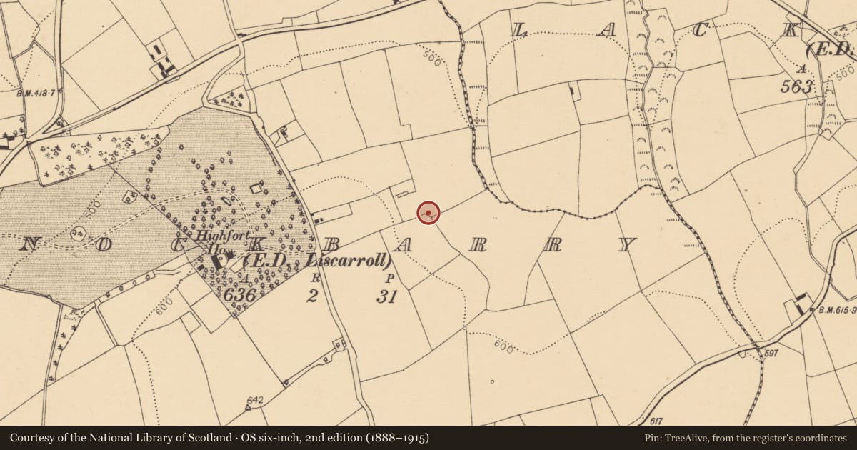 Ordnance Survey six-inch map, 2nd edition (1888–1915) covering the location of Fulacht fia, Knockbarry (Orrery and Kilmore By., Liscarroll Par.), County Cork, with a pin at the register's coordinates