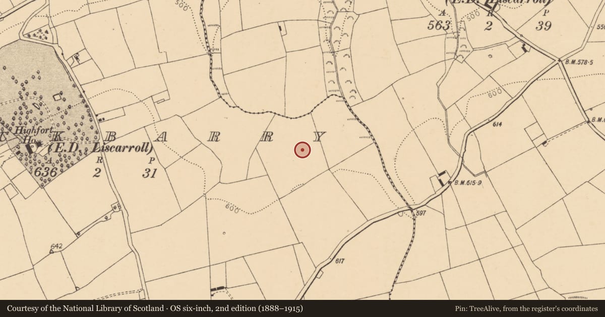 Ordnance Survey six-inch map, 2nd edition (1888–1915) covering the location of Fulacht fia, Knockbarry (Orrery and Kilmore By., Liscarroll Par.), County Cork, with a pin at the register's coordinates