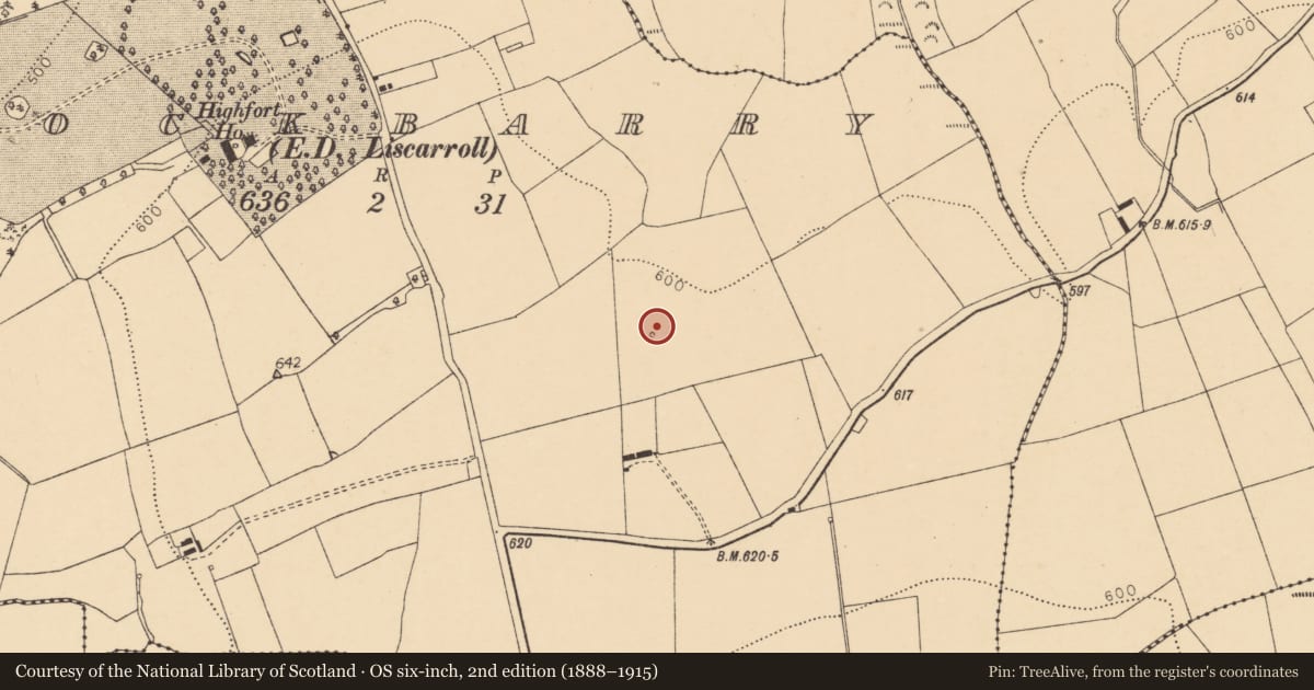 Ordnance Survey six-inch map, 2nd edition (1888–1915) covering the location of Fulacht fia, Knockbarry (Orrery and Kilmore By., Liscarroll Par.), County Cork, with a pin at the register's coordinates
