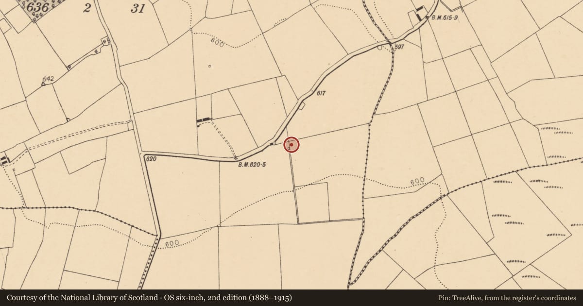 Ordnance Survey six-inch map, 2nd edition (1888–1915) covering the location of Fulacht fia, Knockbarry (Orrery and Kilmore By., Liscarroll Par.), County Cork, with a pin at the register's coordinates