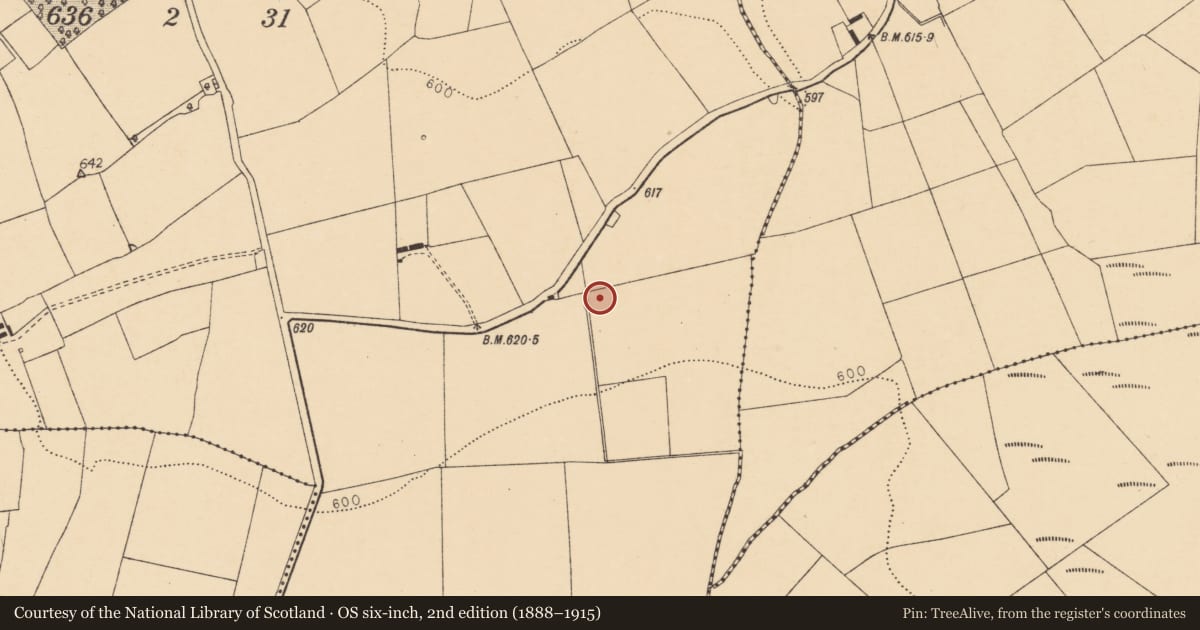 Ordnance Survey six-inch map, 2nd edition (1888–1915) covering the location of Fulacht fia, Knockbarry (Orrery and Kilmore By., Liscarroll Par.), County Cork, with a pin at the register's coordinates