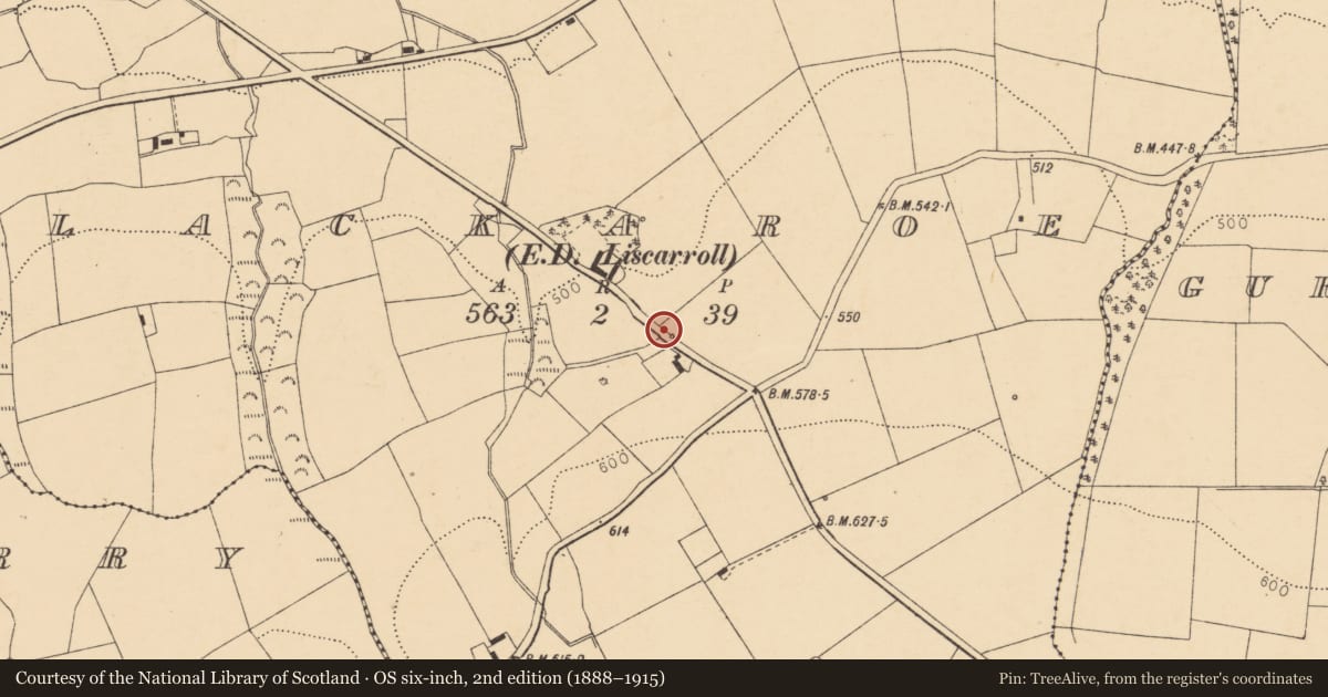 Ordnance Survey six-inch map, 2nd edition (1888–1915) covering the location of Fulacht fia, Lackaroe (Orrery and Kilmore By., Liscarroll Par.), County Cork, with a pin at the register's coordinates