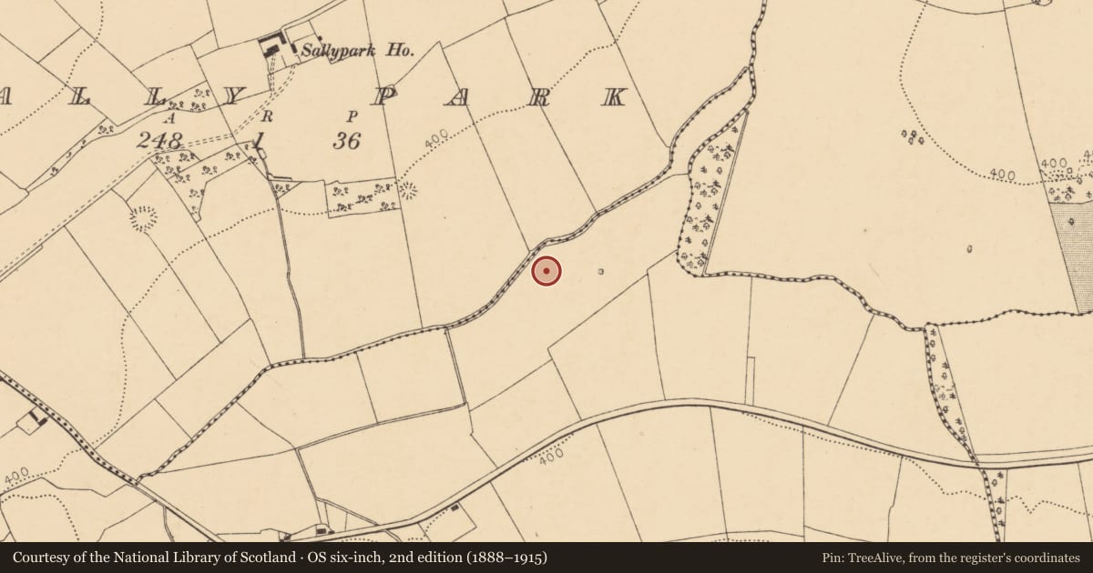 Ordnance Survey six-inch map, 2nd edition (1888–1915) covering the location of Fulacht fia, Lackaroe (Orrery and Kilmore By., Liscarroll Par.), County Cork, with a pin at the register's coordinates