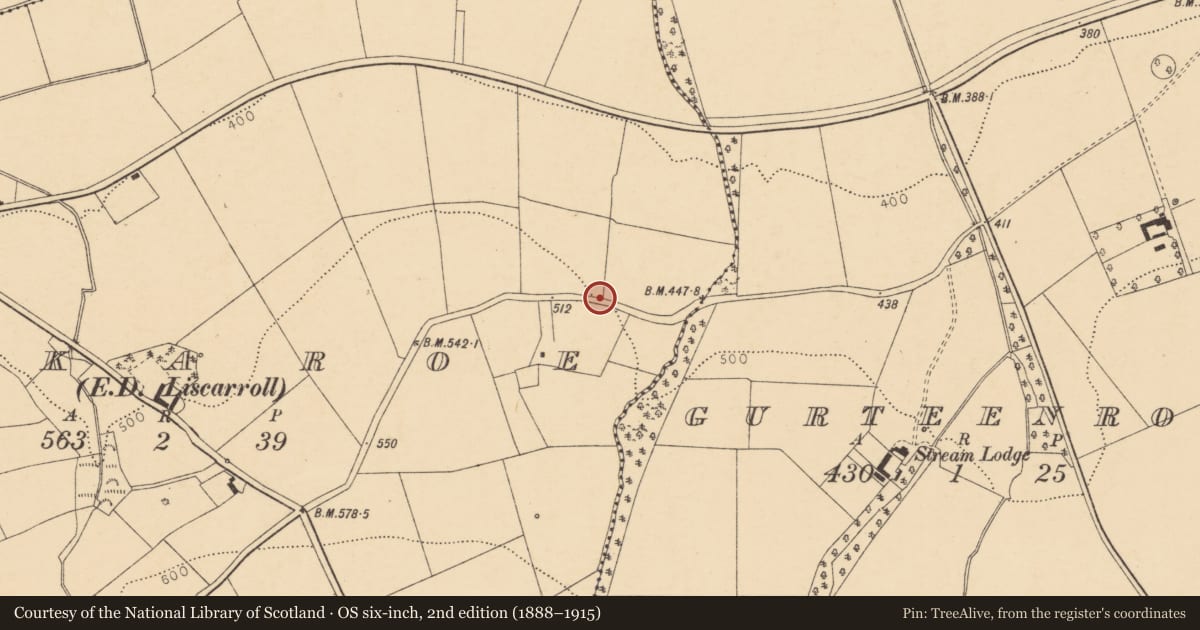 Ordnance Survey six-inch map, 2nd edition (1888–1915) covering the location of Ringfort - rath, Lackaroe (Orrery and Kilmore By., Liscarroll Par.), County Cork, with a pin at the register's coordinates