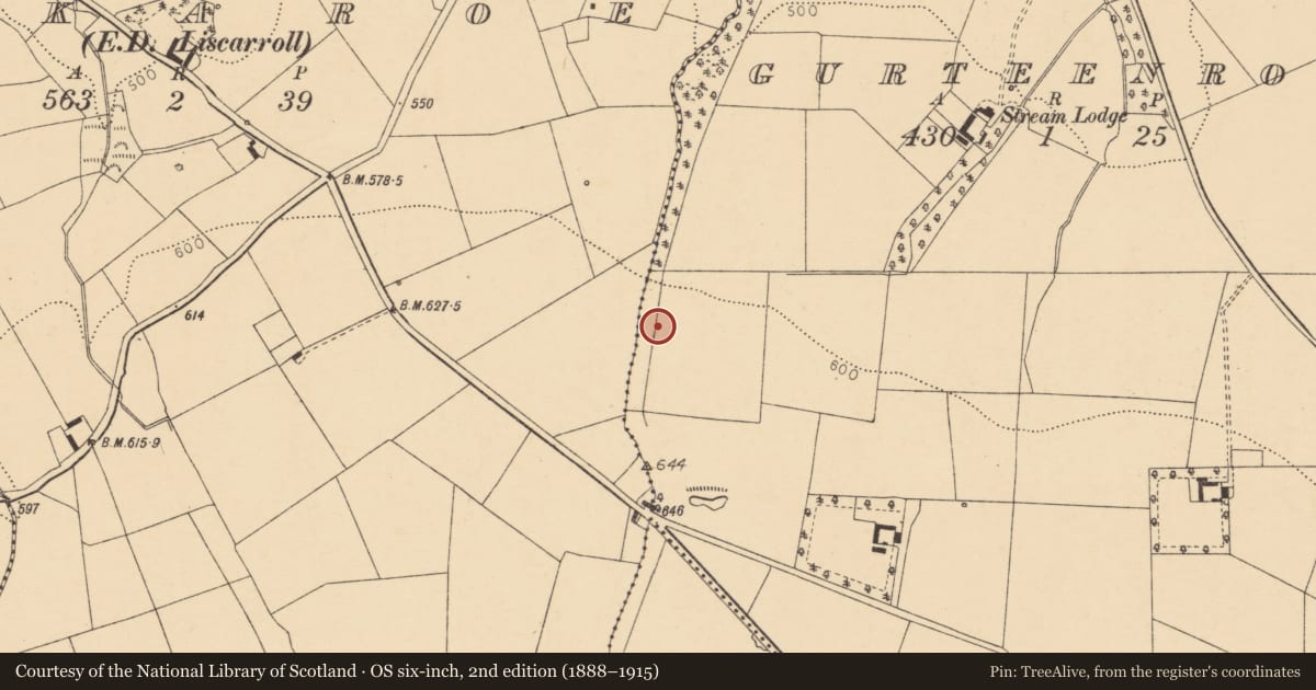 Ordnance Survey six-inch map, 2nd edition (1888–1915) covering the location of Fulacht fia, Gurteenroe, County Cork, with a pin at the register's coordinates
