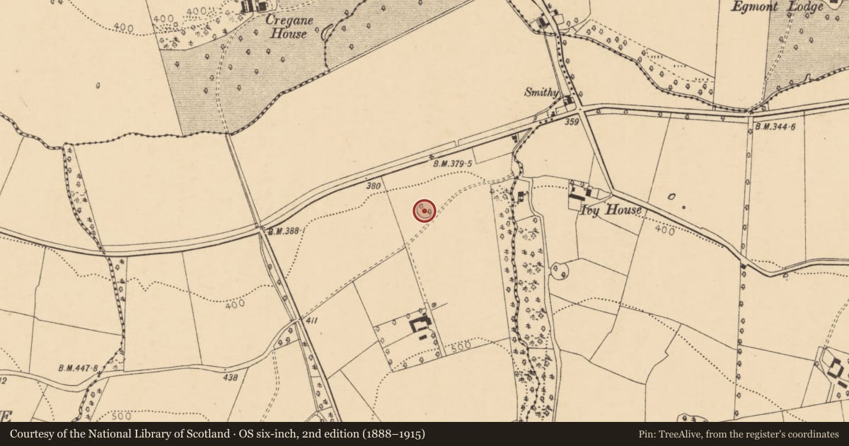 Ordnance Survey six-inch map, 2nd edition (1888–1915) covering the location of Ringfort - rath, Gurteenroe, County Cork, with a pin at the register's coordinates