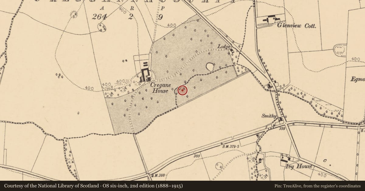 Ordnance Survey six-inch map, 2nd edition (1888–1915) covering the location of Fulacht fia, Gurteenroe, County Cork, with a pin at the register's coordinates