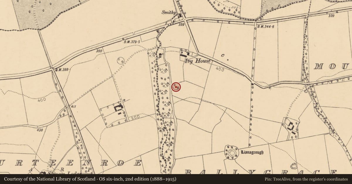 Ordnance Survey six-inch map, 2nd edition (1888–1915) covering the location of Ringfort - rath, Ballygrace, County Cork, with a pin at the register's coordinates