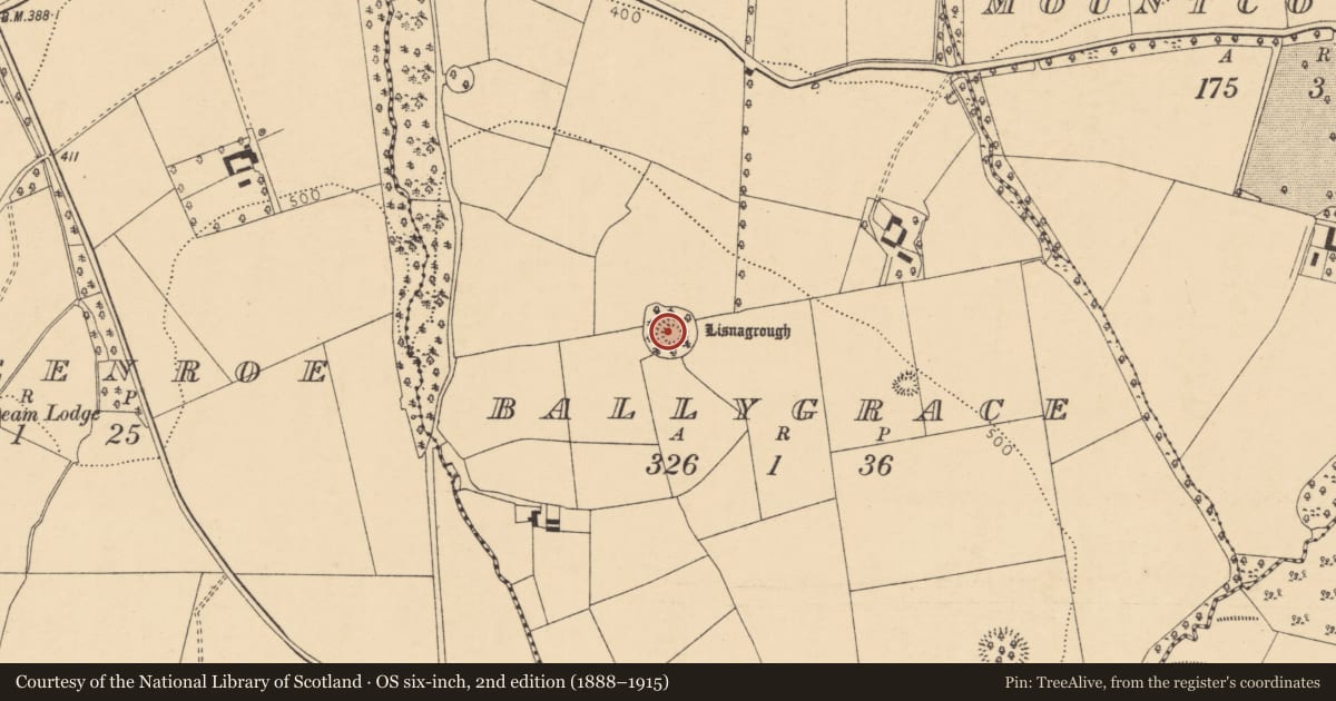 Ordnance Survey six-inch map, 2nd edition (1888–1915) covering the location of Ringfort - rath, Ballygrace, County Cork, with a pin at the register's coordinates