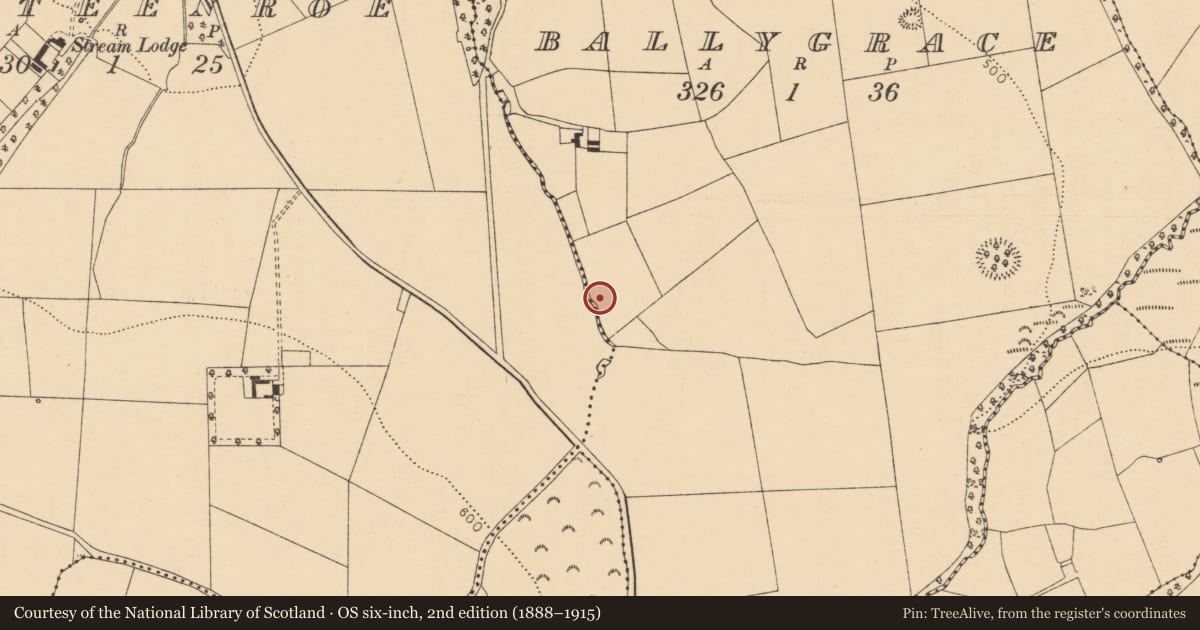 Ordnance Survey six-inch map, 2nd edition (1888–1915) covering the location of Fulacht fia, Ballygrace, County Cork, with a pin at the register's coordinates