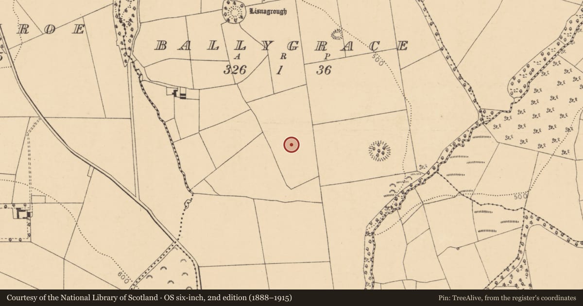 Ordnance Survey six-inch map, 2nd edition (1888–1915) covering the location of Ringfort - rath, Ballygrace, County Cork, with a pin at the register's coordinates