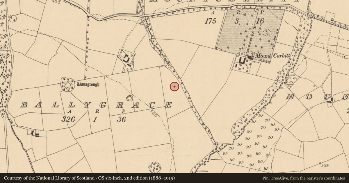 Ordnance Survey six-inch map, 2nd edition (1888–1915) covering the location of Fulacht fia, Ballygrace, County Cork, with a pin at the register's coordinates