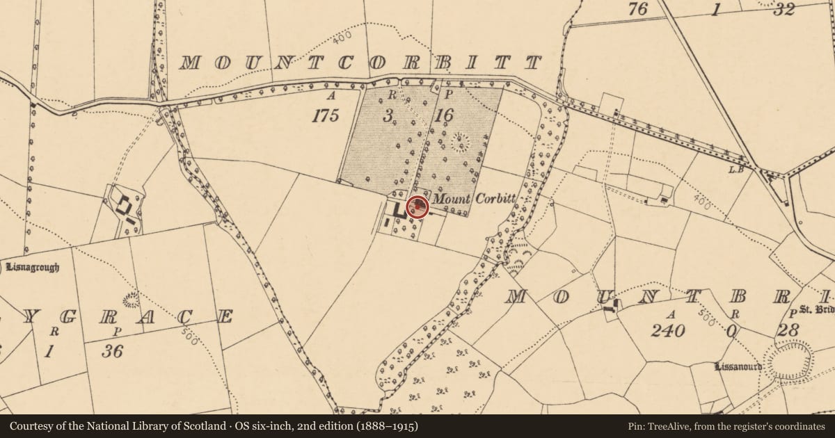 Ordnance Survey six-inch map, 2nd edition (1888–1915) covering the location of Country house, Mountcorbitt, County Cork, with a pin at the register's coordinates
