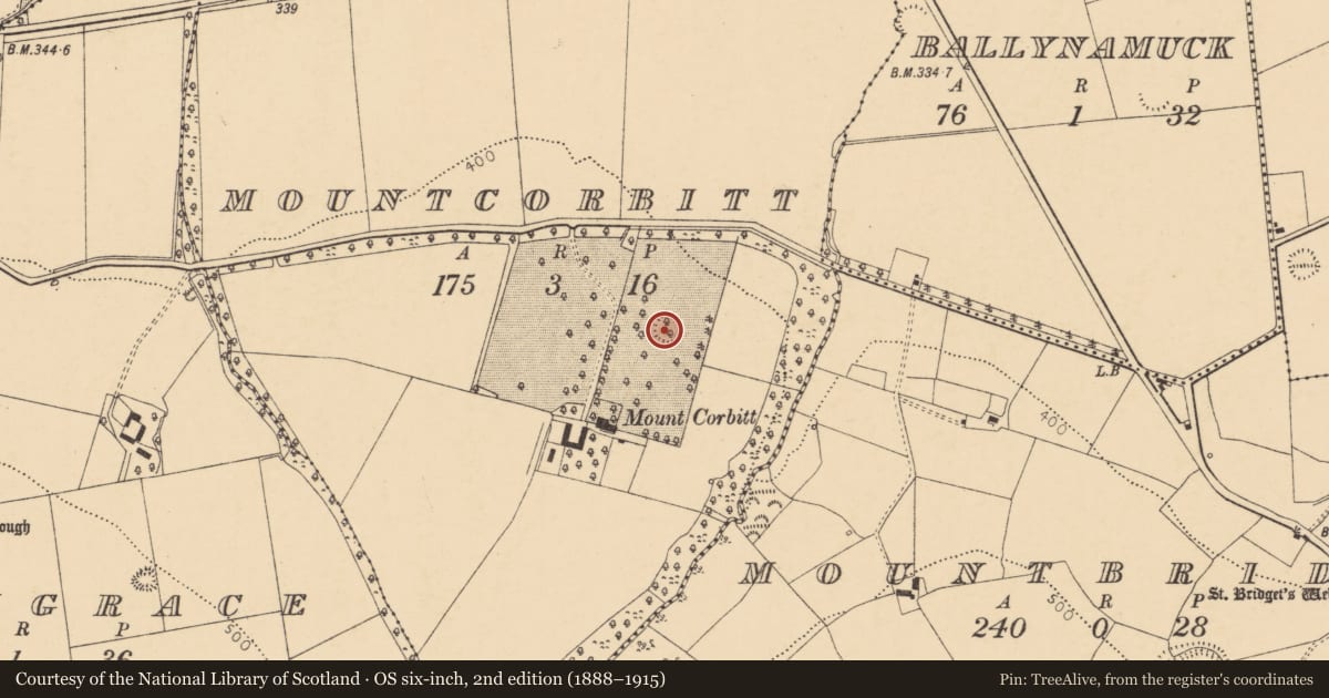 Ordnance Survey six-inch map, 2nd edition (1888–1915) covering the location of Ringfort - rath, Mountcorbitt, County Cork, with a pin at the register's coordinates