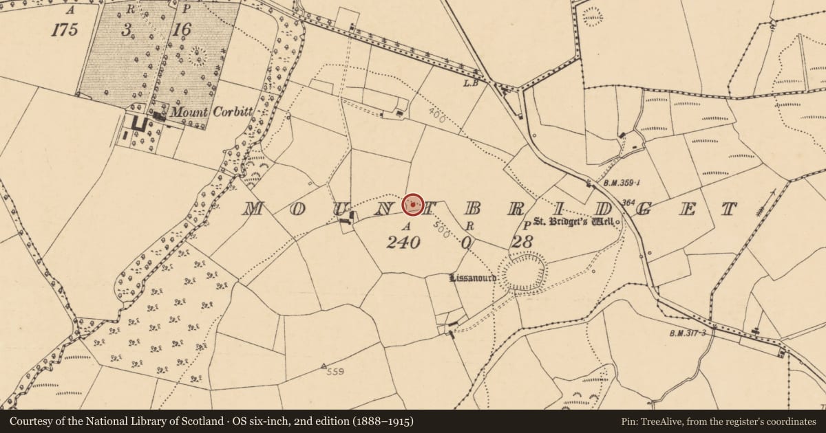 Ordnance Survey six-inch map, 2nd edition (1888–1915) covering the location of Ringfort - rath, Mountbridget, County Cork, with a pin at the register's coordinates