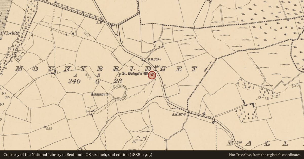 Ordnance Survey six-inch map, 2nd edition (1888–1915) covering the location of Ritual site - holy well, Mountbridget, County Cork, with a pin at the register's coordinates