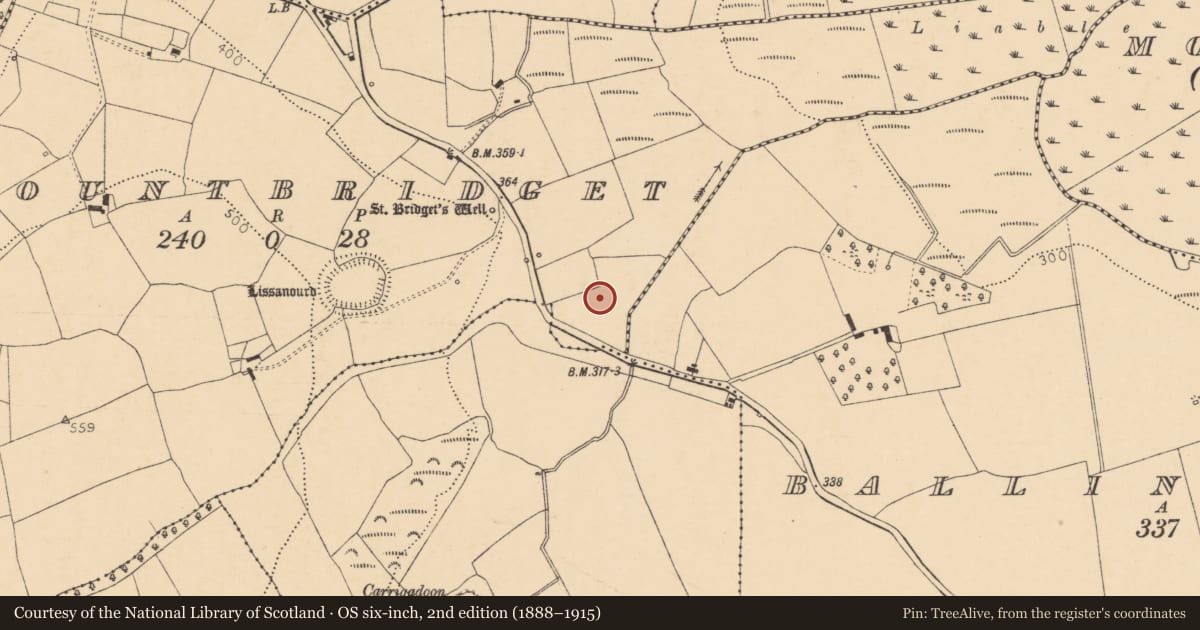 Ordnance Survey six-inch map, 2nd edition (1888–1915) covering the location of Burial ground, Mountbridget, County Cork, with a pin at the register's coordinates