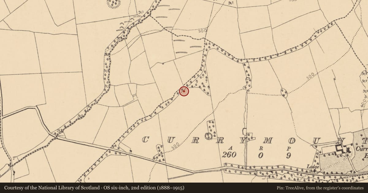 Ordnance Survey six-inch map, 2nd edition (1888–1915) covering the location of Fulacht fia, Currymount, County Cork, with a pin at the register's coordinates