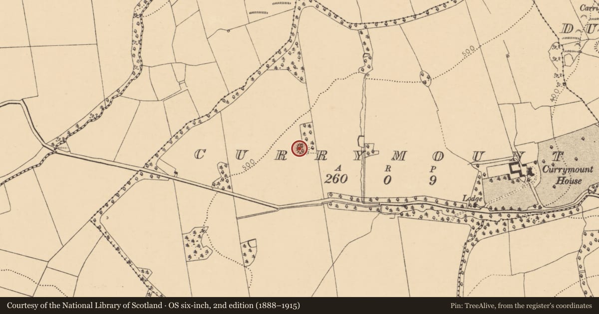 Ordnance Survey six-inch map, 2nd edition (1888–1915) covering the location of Ringfort - rath, Currymount, County Cork, with a pin at the register's coordinates