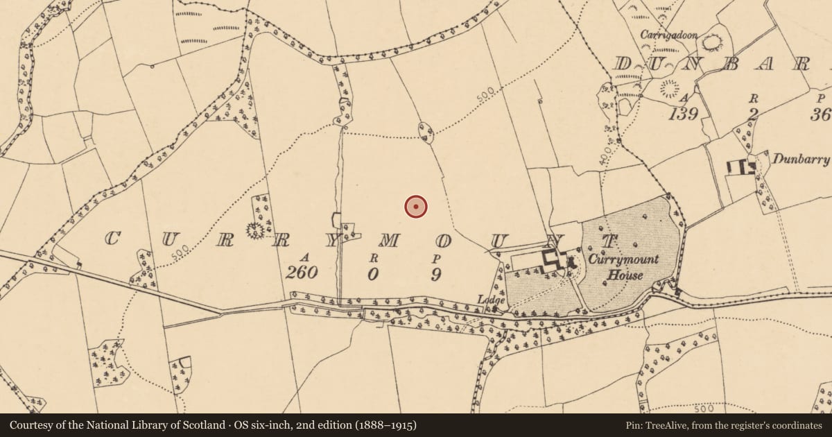Ordnance Survey six-inch map, 2nd edition (1888–1915) covering the location of Standing stone, Currymount, County Cork, with a pin at the register's coordinates