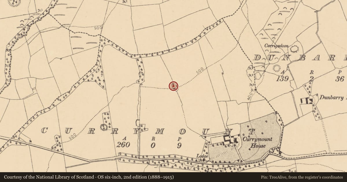Ordnance Survey six-inch map, 2nd edition (1888–1915) covering the location of Designed landscape - tree-ring, Currymount, County Cork, with a pin at the register's coordinates