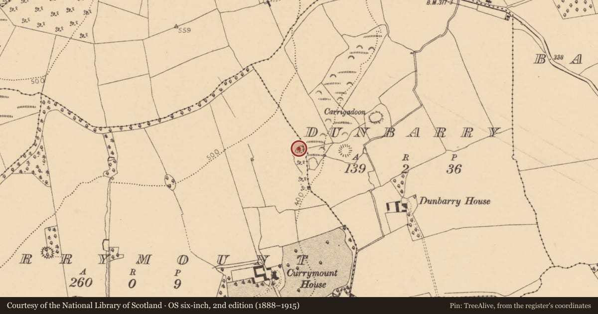 Ordnance Survey six-inch map, 2nd edition (1888–1915) covering the location of Ringfort - rath, Currymount, County Cork, with a pin at the register's coordinates
