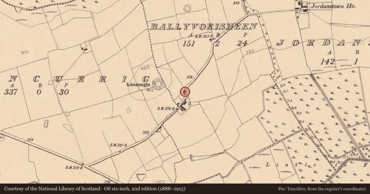 Ordnance Survey six-inch map, 2nd edition (1888–1915) covering the location of House - vernacular house, Ballyvorisheen, County Cork, with a pin at the register's coordinates
