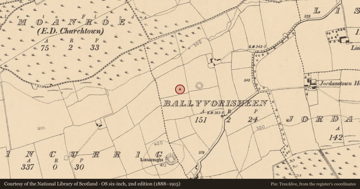Ordnance Survey six-inch map, 2nd edition (1888–1915) covering the location of Ringfort - rath, Ballyvorisheen, County Cork, with a pin at the register's coordinates
