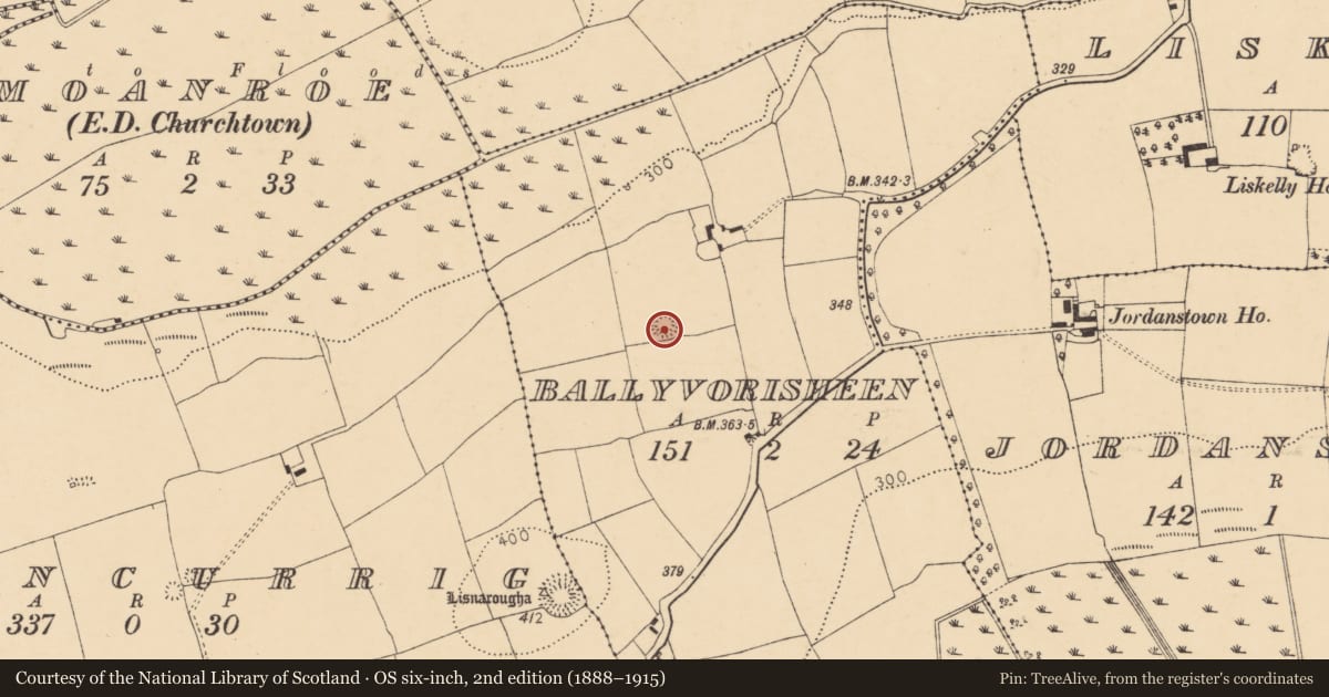 Ordnance Survey six-inch map, 2nd edition (1888–1915) covering the location of Ringfort - rath, Ballyvorisheen, County Cork, with a pin at the register's coordinates