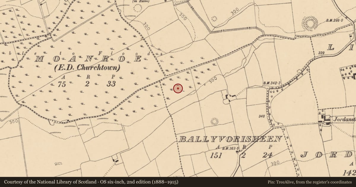 Ordnance Survey six-inch map, 2nd edition (1888–1915) covering the location of Fulacht fia, Ballyvorisheen, County Cork, with a pin at the register's coordinates