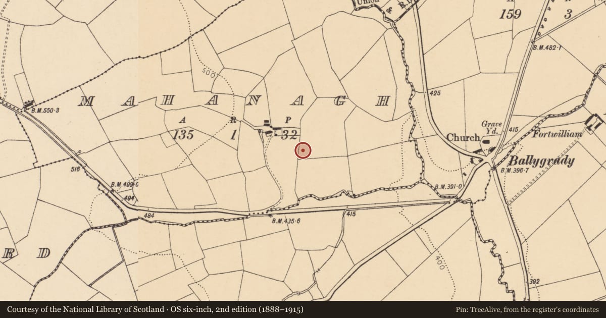 Ordnance Survey six-inch map, 2nd edition (1888–1915) covering the location of Ringfort - rath, Mahanagh, County Cork, with a pin at the register's coordinates