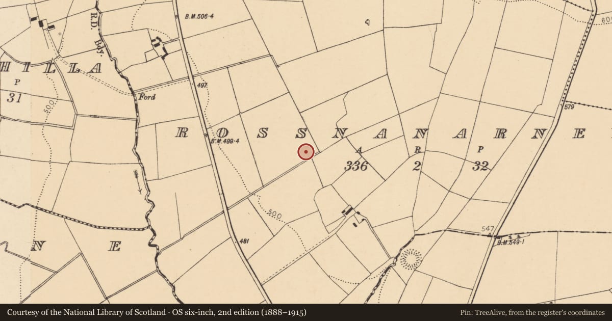 Ordnance Survey six-inch map, 2nd edition (1888–1915) covering the location of Fulacht fia, Rossnanarney, County Cork, with a pin at the register's coordinates