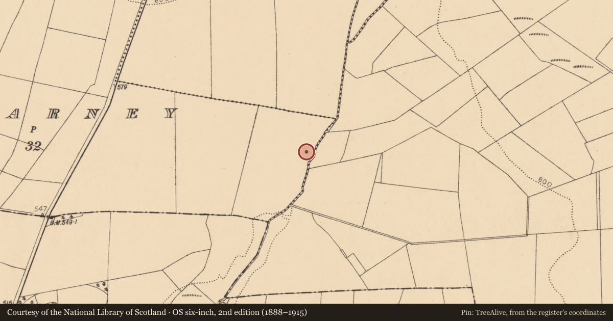 Ordnance Survey six-inch map, 2nd edition (1888–1915) covering the location of Fulacht fia, Rossnanarney, County Cork, with a pin at the register's coordinates