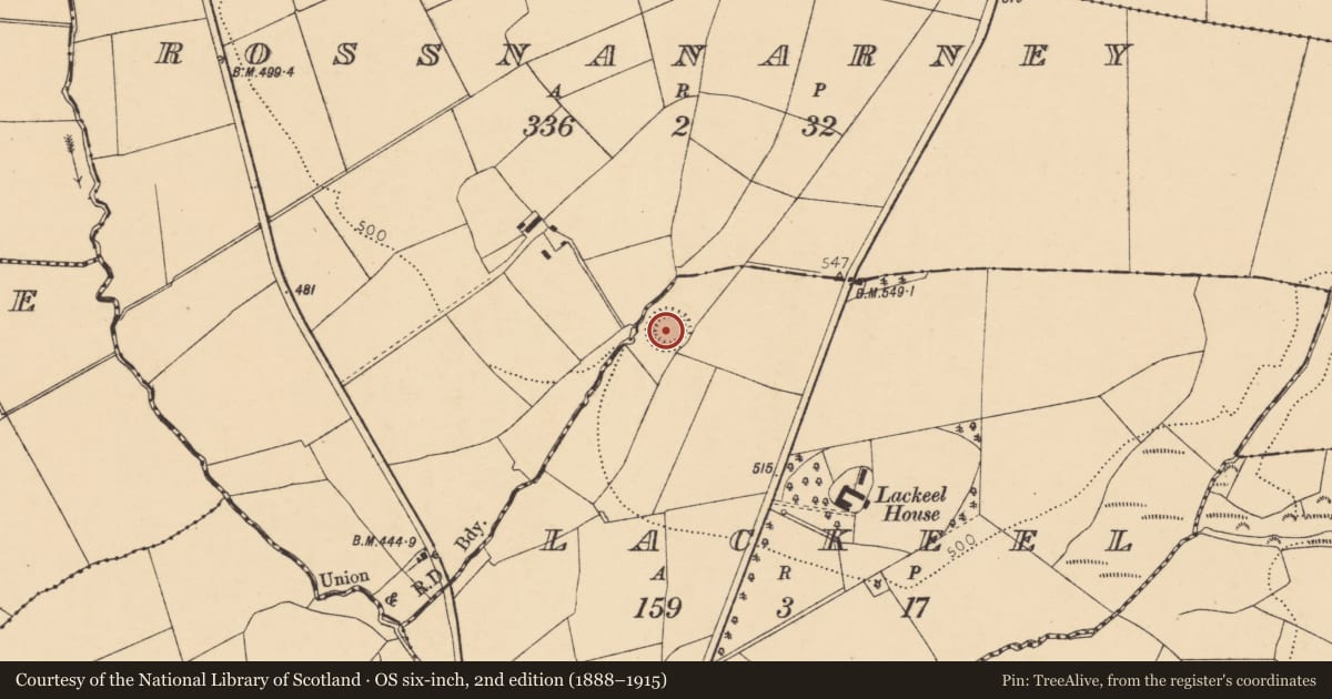 Ordnance Survey six-inch map, 2nd edition (1888–1915) covering the location of Ringfort - rath, Lackeel, County Cork, with a pin at the register's coordinates