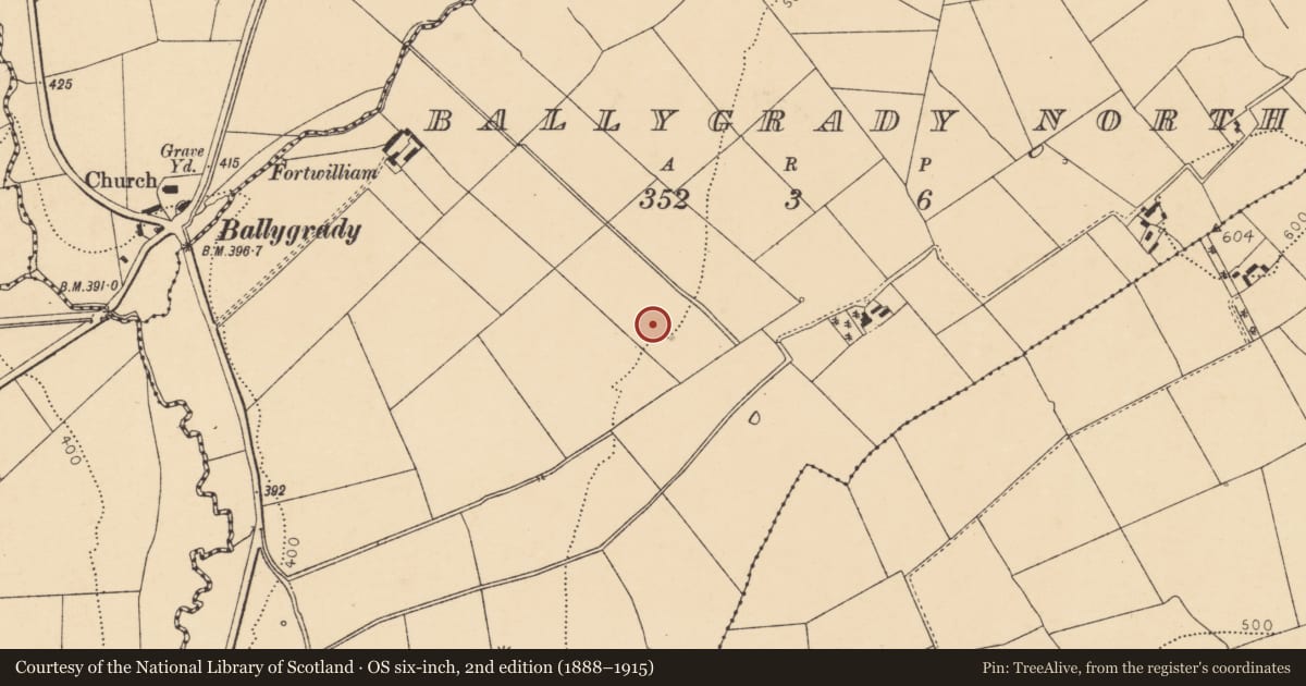 Ordnance Survey six-inch map, 2nd edition (1888–1915) covering the location of Fulacht fia, Ballygrady North, County Cork, with a pin at the register's coordinates