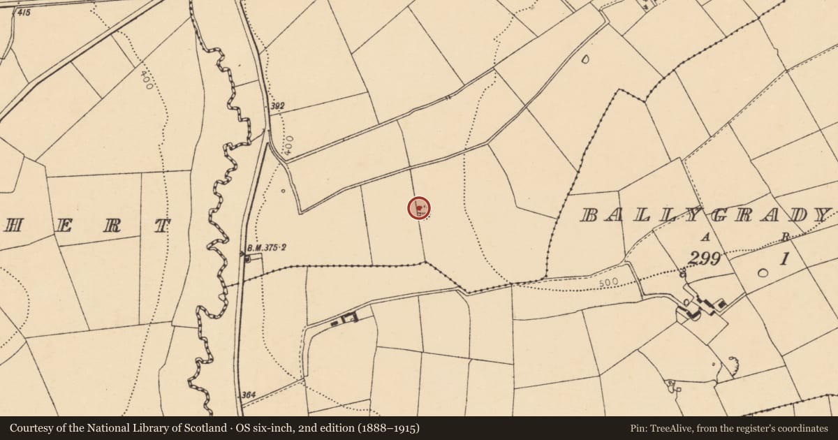 Ordnance Survey six-inch map, 2nd edition (1888–1915) covering the location of Fulacht fia, Ballygrady North, County Cork, with a pin at the register's coordinates