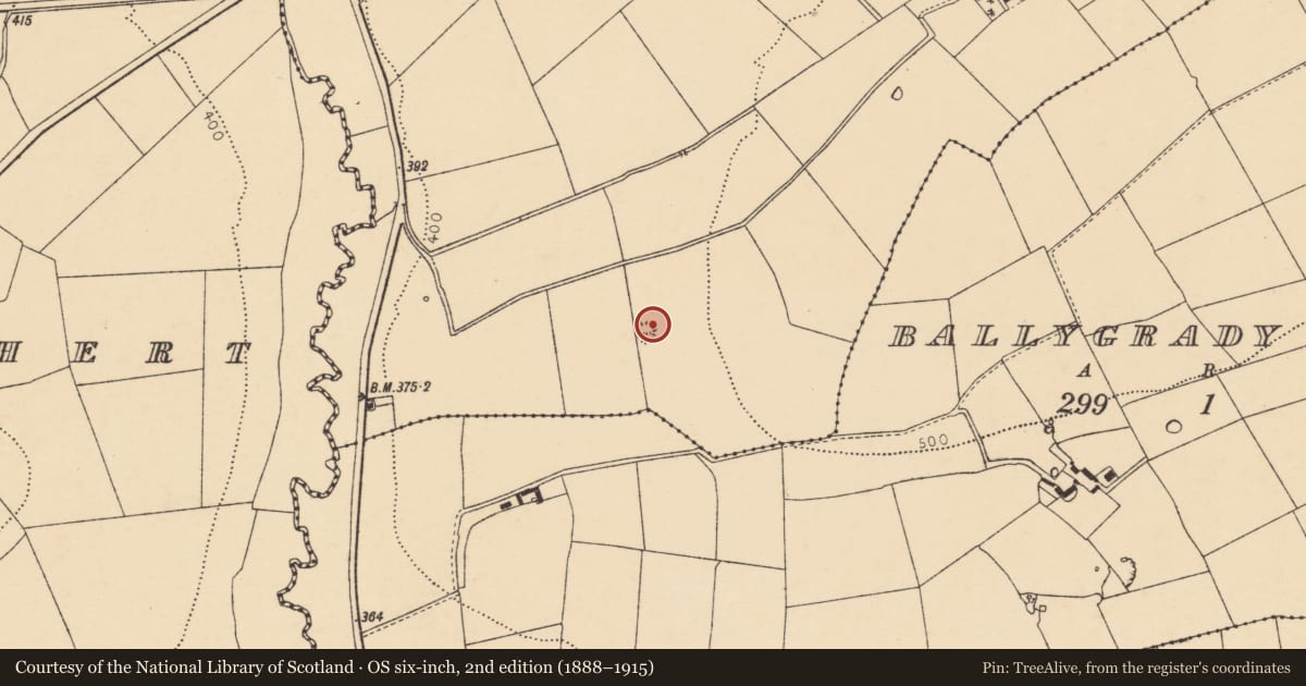 Ordnance Survey six-inch map, 2nd edition (1888–1915) covering the location of Fulacht fia, Ballygrady North, County Cork, with a pin at the register's coordinates