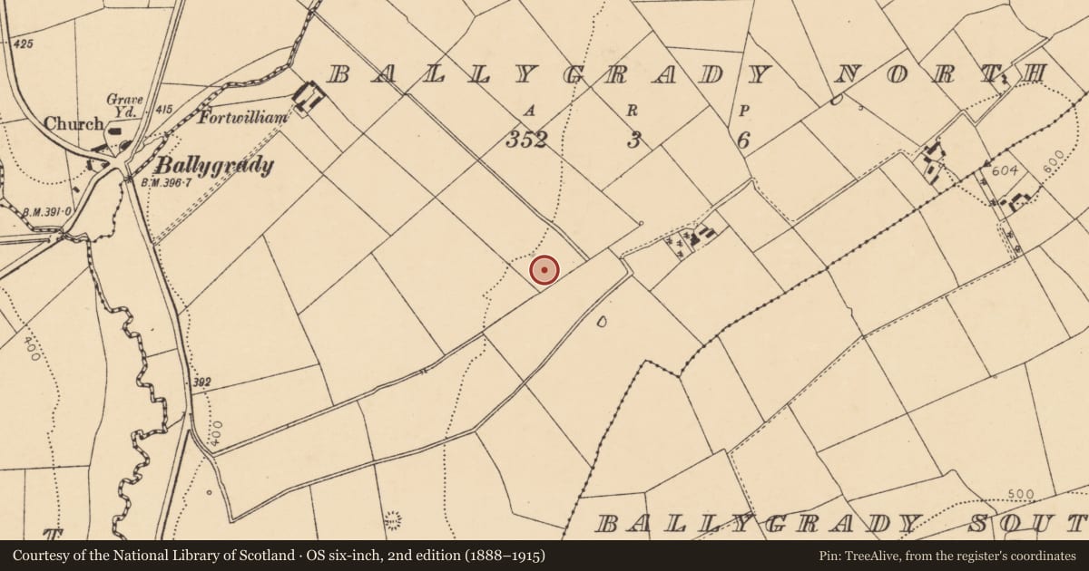 Ordnance Survey six-inch map, 2nd edition (1888–1915) covering the location of Fulacht fia, Ballygrady North, County Cork, with a pin at the register's coordinates