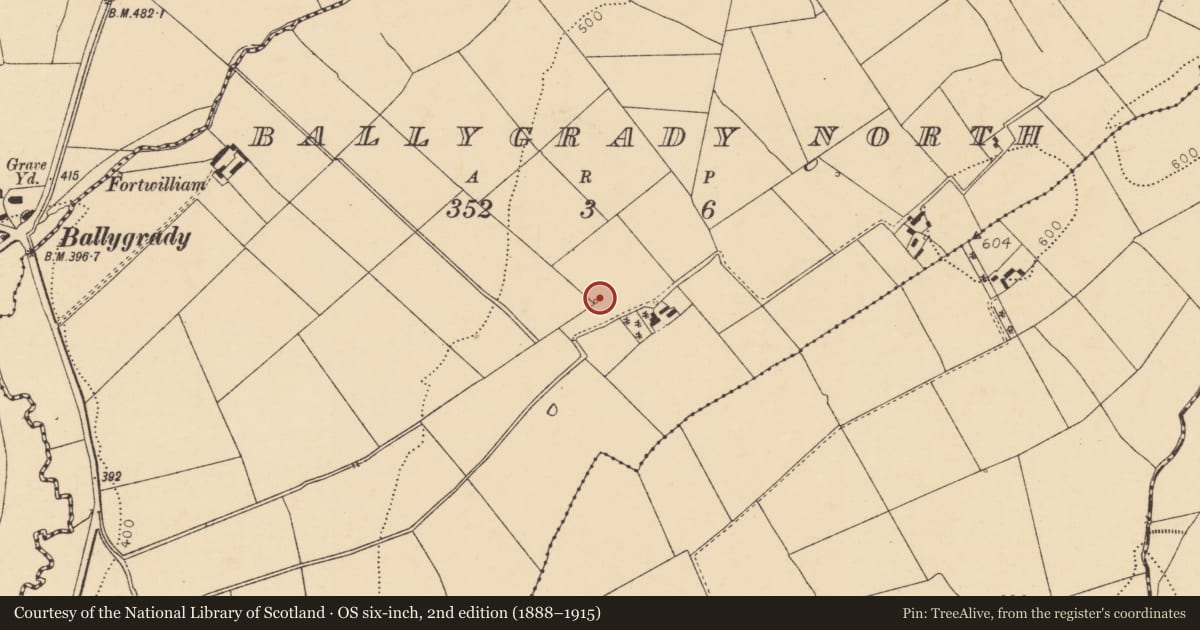 Ordnance Survey six-inch map, 2nd edition (1888–1915) covering the location of Fulacht fia, Ballygrady North, County Cork, with a pin at the register's coordinates