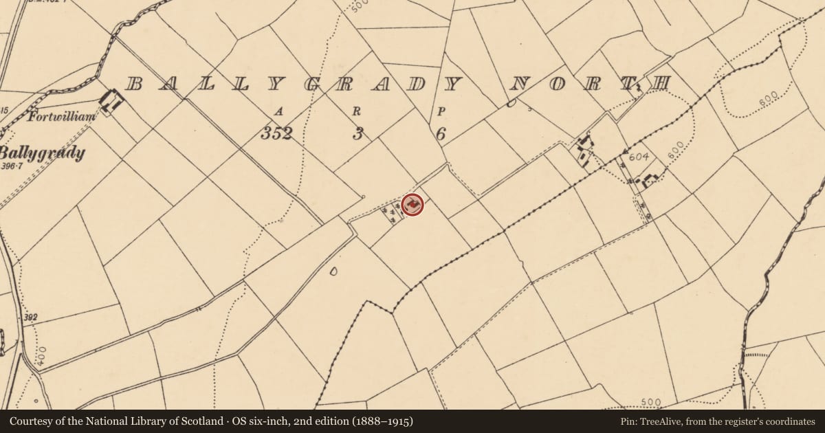 Ordnance Survey six-inch map, 2nd edition (1888–1915) covering the location of House - vernacular house, Ballygrady North, County Cork, with a pin at the register's coordinates